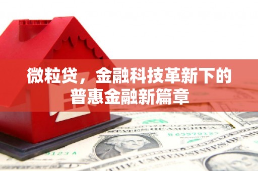 平度微粒贷，金融科技革新下的普惠金融新篇章