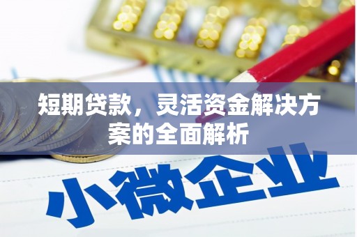 平度短期贷款，灵活资金解决方案的全面解析