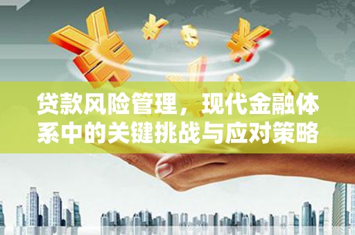 平度贷款风险管理，现代金融体系中的关键挑战与应对策略