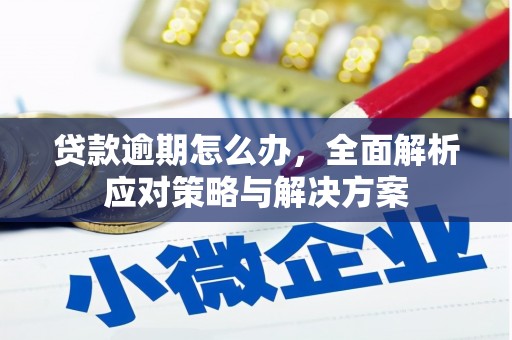 平度贷款逾期怎么办，全面解析应对策略与解决方案
