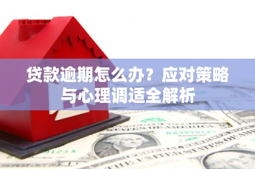 平度贷款逾期怎么办？应对策略与心理调适全解析