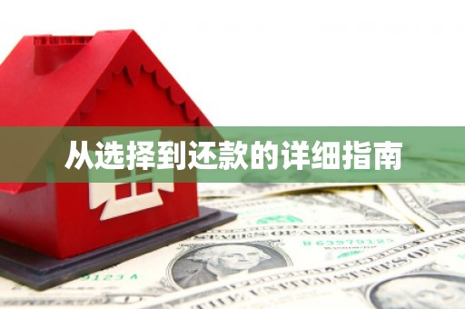 平度从选择到还款的详细指南