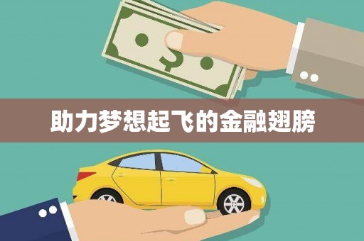平度助力梦想起飞的金融翅膀
