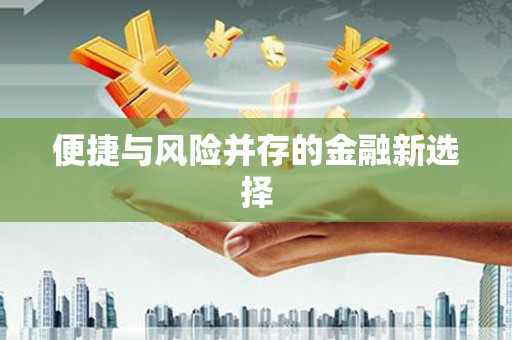平度便捷与风险并存的金融新选择